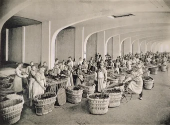 Flaschen spülen, aus 